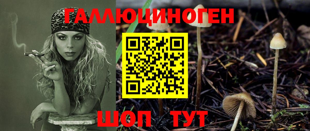 Псилоцибиновые грибы мухоморы  Вход с VPN  Киржач 