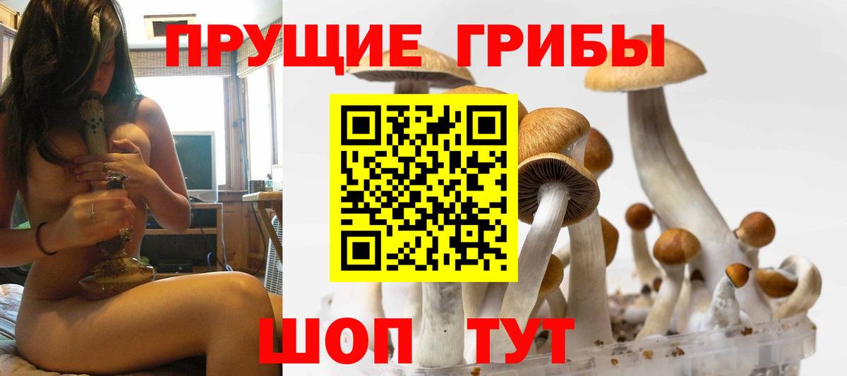 Псилоцибиновые грибы GOLDEN TEACHER Киржач